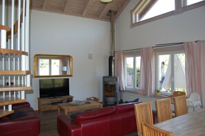 Smart TV, fireplace, DVD player, books