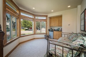 TV, fireplace, music library