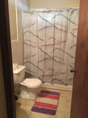 Combined shower/tub, hair dryer, towels, soap