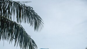 A multi-story building with a curved facade, balconies, and large windows. - Scuba Residence (Fuvahmulah)