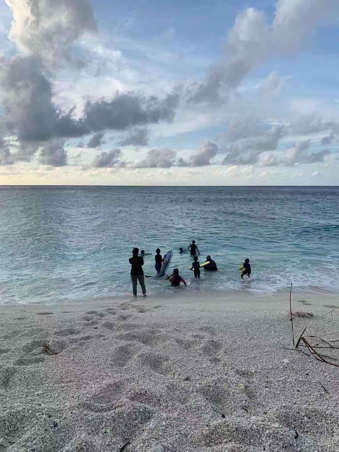 在海灘附近