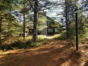 Escape to a secluded cabin surrounded by tall trees and a winding dirt path.