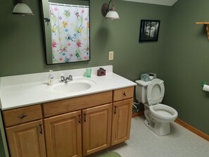 Combined shower/bathtub