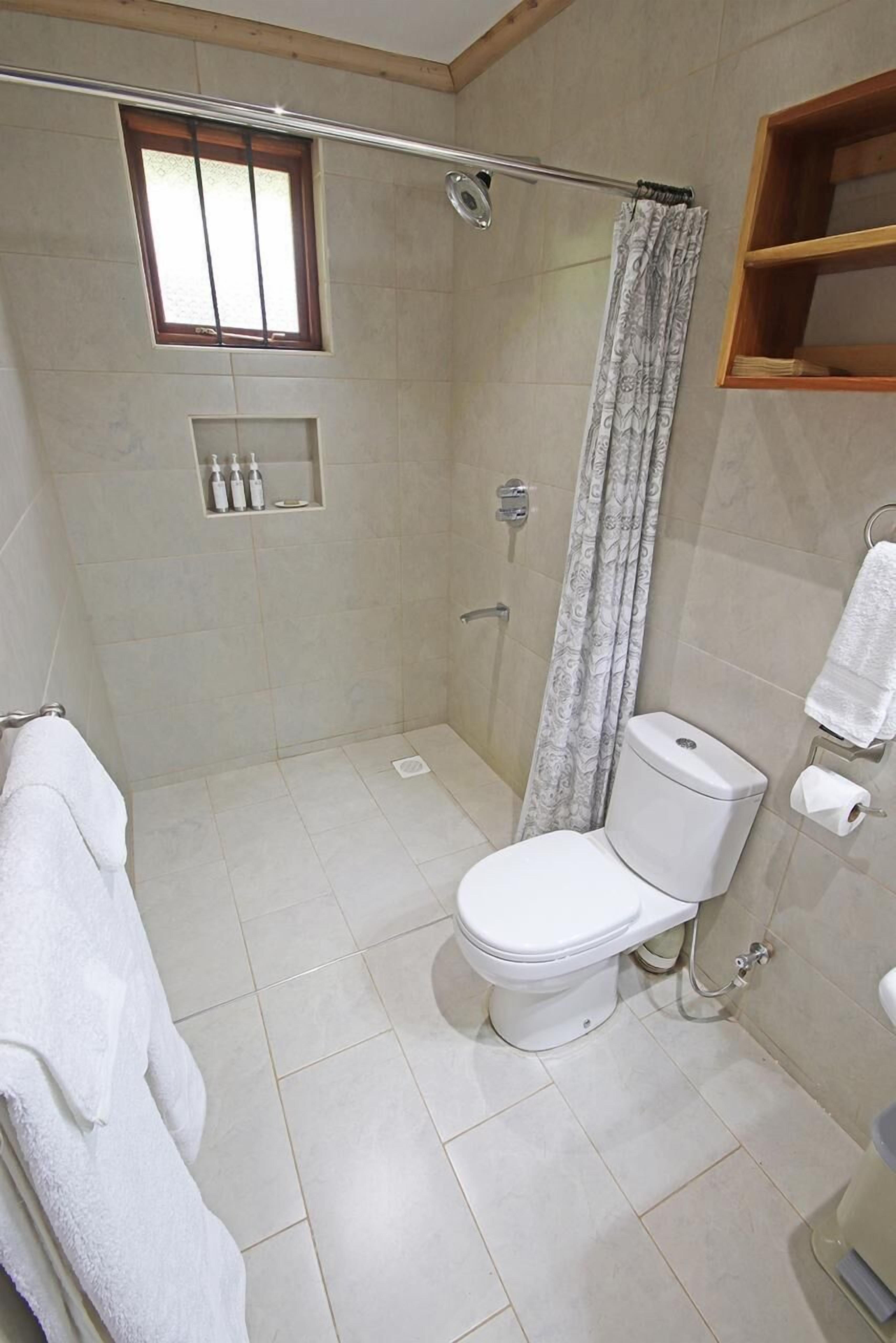A bathroom with a toilet, shower, and a window.