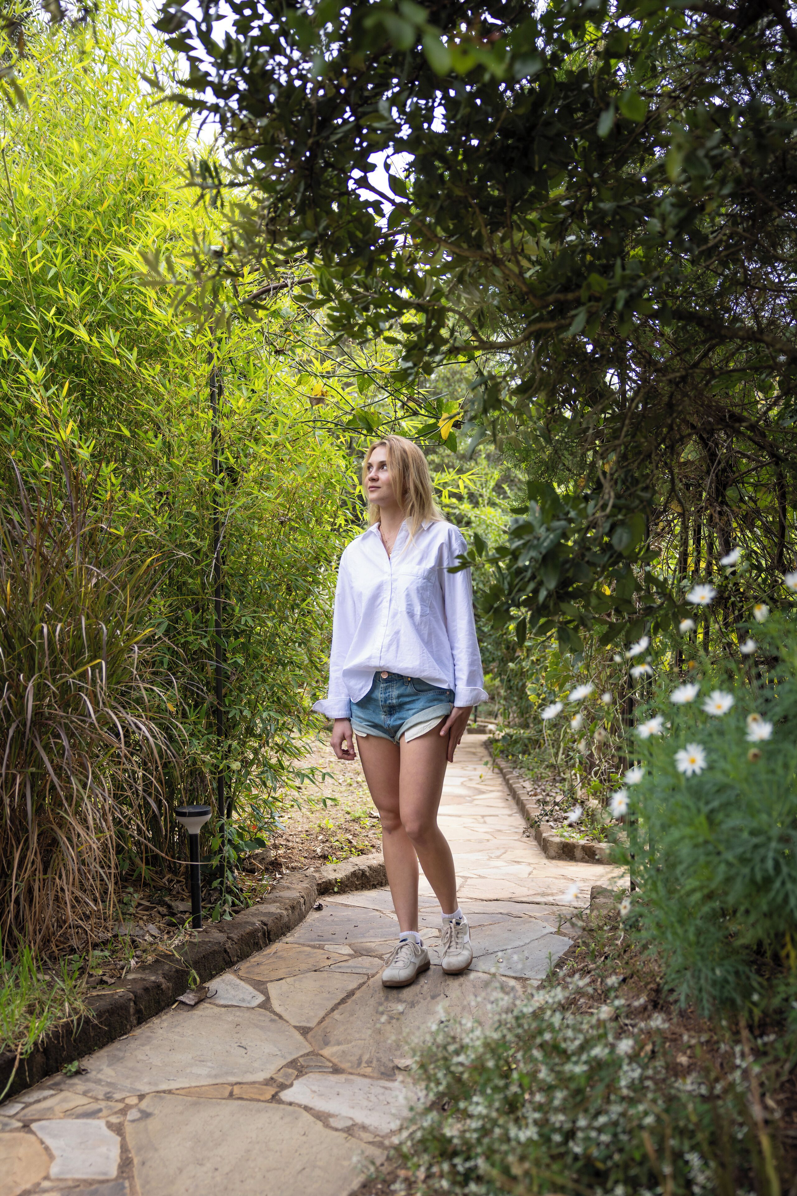 A pathway surrounded by lush greenery and white flowers.
