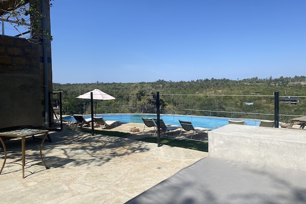 Outdoor pool, pool umbrellas, pool loungers
