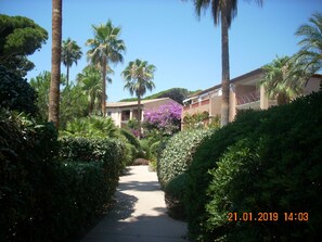 Área da propriedade