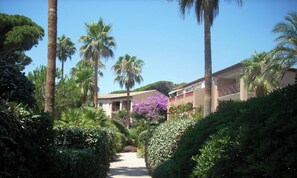 A pathway leading to a building surrounded by palm trees and lush greenery. - Air-conditioned T2 in wooded park (Hyères)