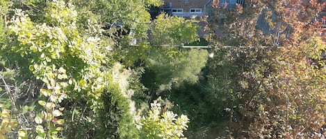 Boendeområde