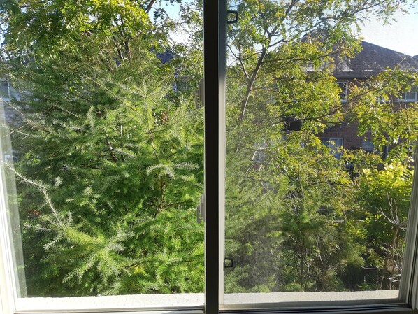 Interior -  "Zen-Out" Home (Mississauga)