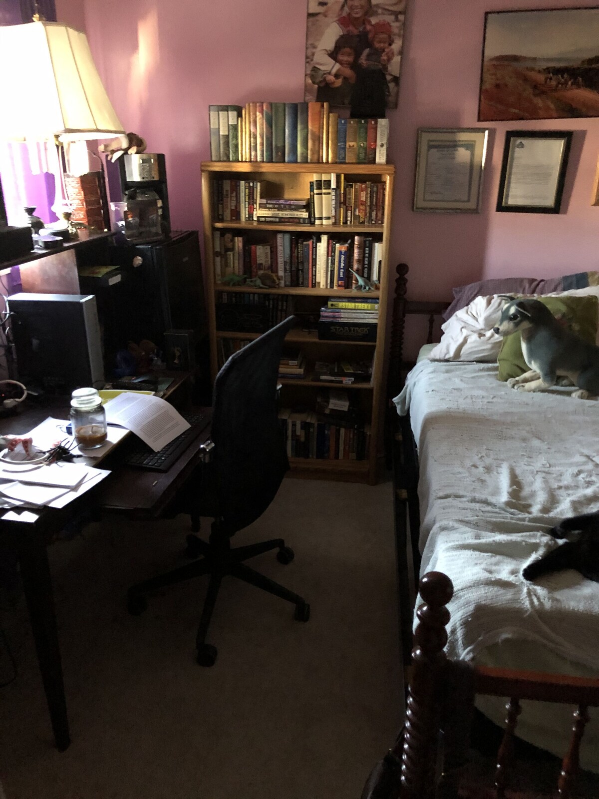 Image de profil de l’hôte