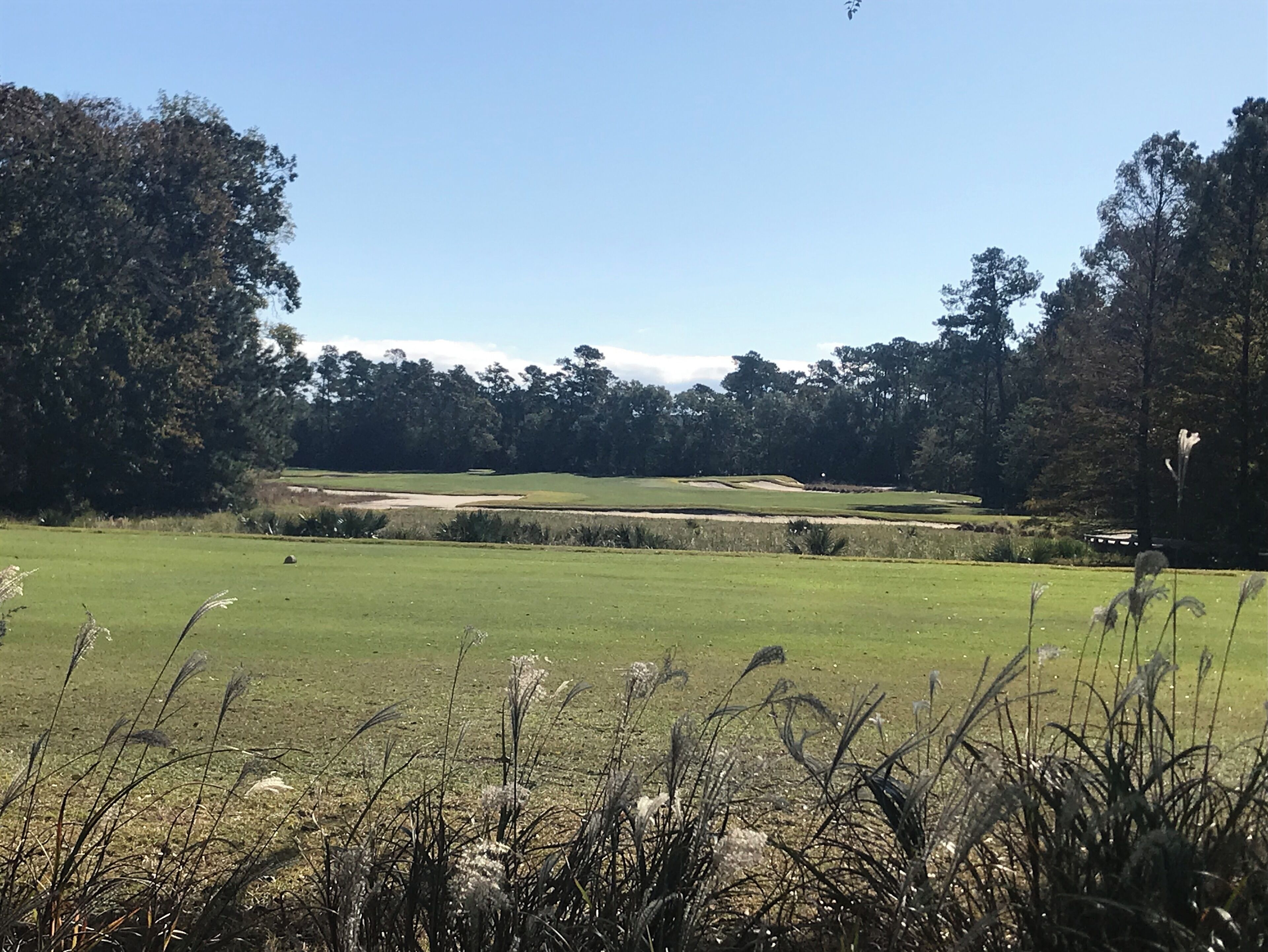 A golf course with a clear sky, trees, and a well-maintained green field.
