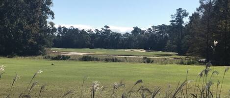 A golf course with a clear sky, trees, and a well-maintained green field.