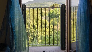 Une pièce dotée d’une grande fenêtre et de rideaux légers, donnant sur un balcon avec une balustrade en métal et des plantes vertes.