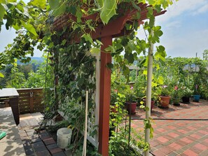 Property grounds - Private Newer Suite Laundry n Full Kitchen between Seattle Tacoma (Edgewood)