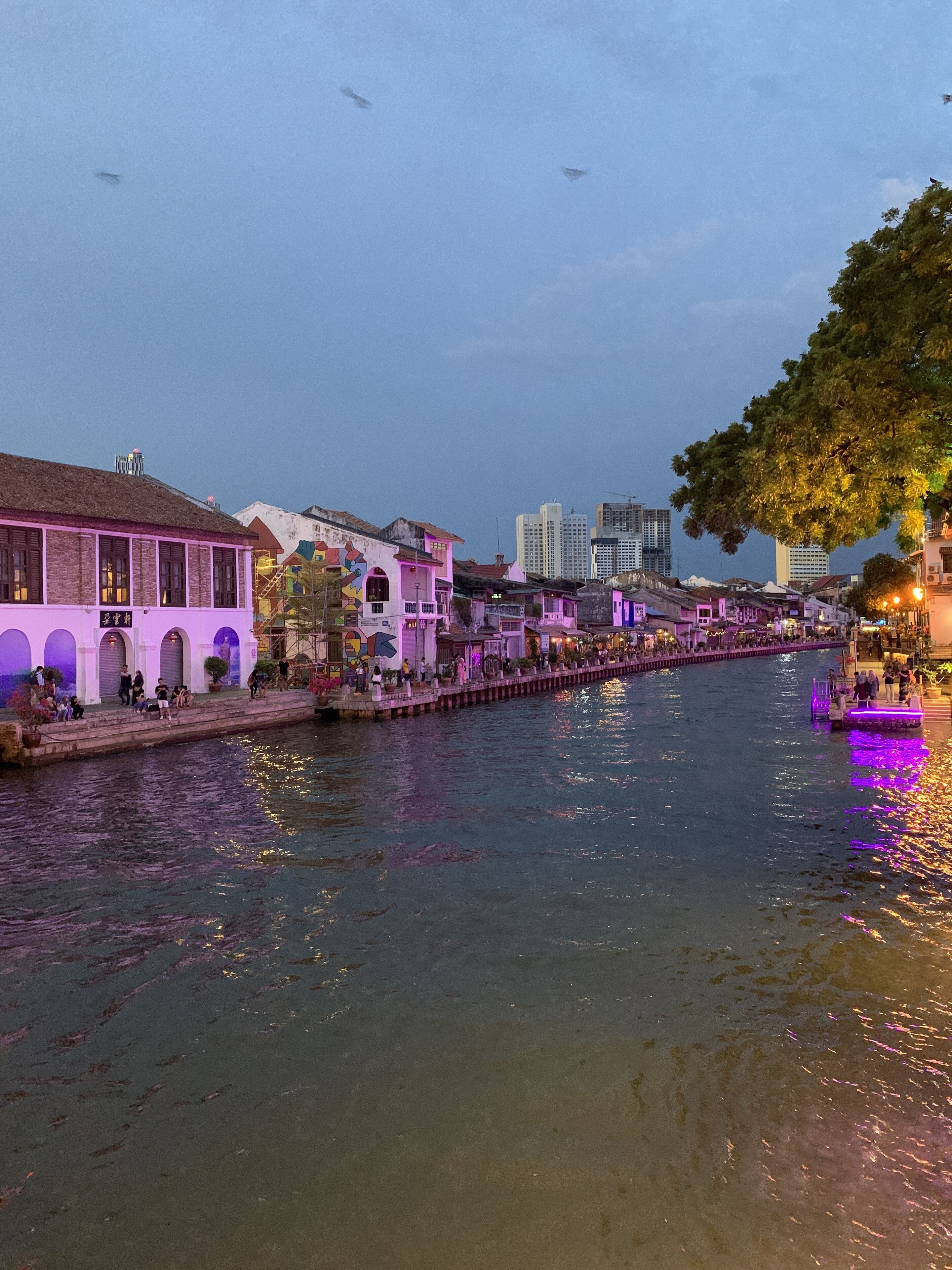 A riverside walkway with buildings on either side, a bridge, and a tree.