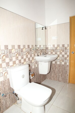 Hair dryer, towels, soap, toilet paper