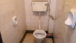 Ảnh chưa phân loại, 4 trong số 11 ảnh, nút