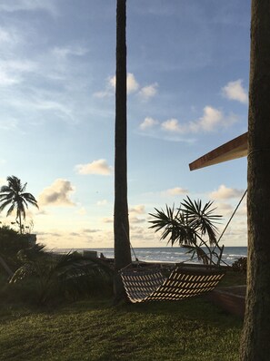 Eine Hängematte zwischen Palmen mit Blick auf den Ozean.