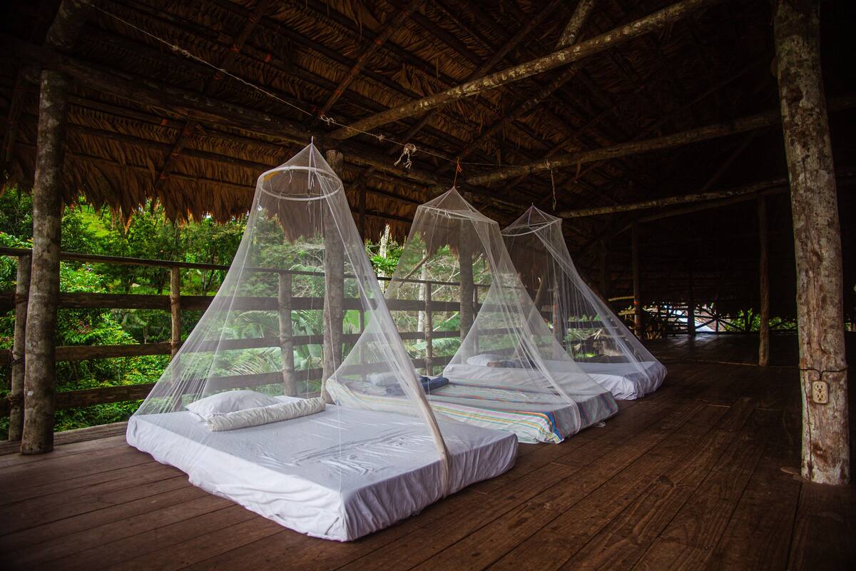 A series of beds with mosquito nets under a wooden roof, surrounded by a wooden deck and a wooden fence.