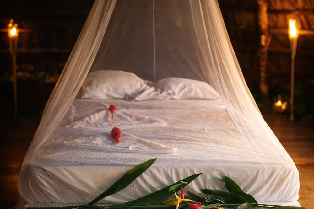 Ditsowou Lodge & Tours