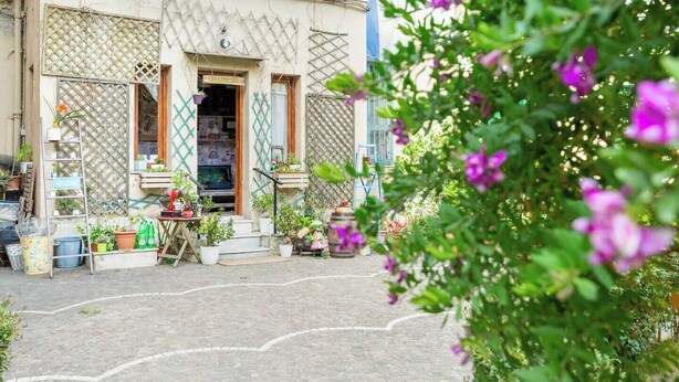 Un bâtiment avec une enseigne accueillante, un téléviseur et diverses plantes et fleurs devant l’entrée.
