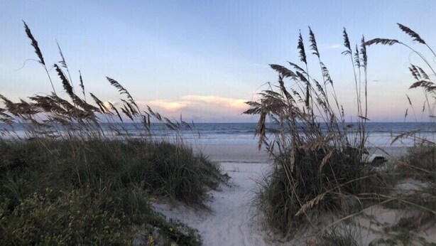 Een strandpad dat naar de zee leidt, met hoge grassen en zand.