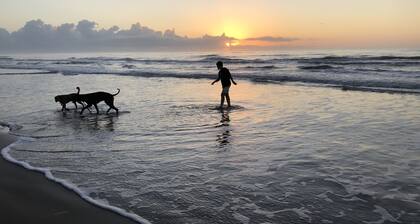 ☀️ NEW! Surfside Retreat w/ Beach View / Sleeps 8 !! Fun In The SUN !!! 🌊