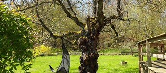 Lovely cottage with large terrace by the sea and nature.