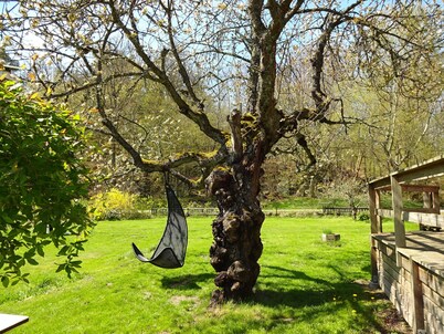 Lovely cottage with large terrace by the sea and nature.