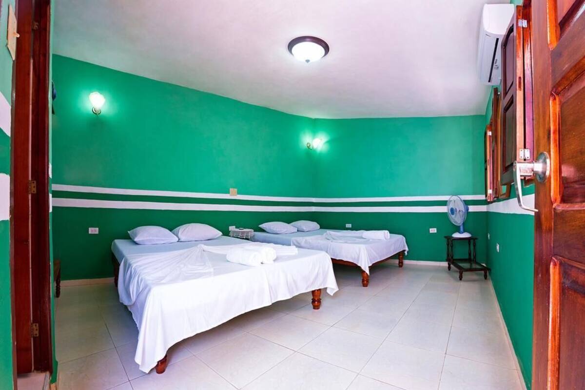 Classic-Vierbettzimmer | Allergikerbettwaren, Minibar, Zimmersafe, individuell eingerichtet