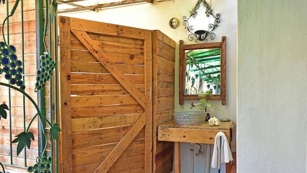Een rustieke houten kamer met een grote houten deur, een wastafel met spiegel en een kamerplant.