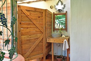 Una habitación rústica de madera con un gran portón de madera, un lavamanos con espejo y una planta en maceta.