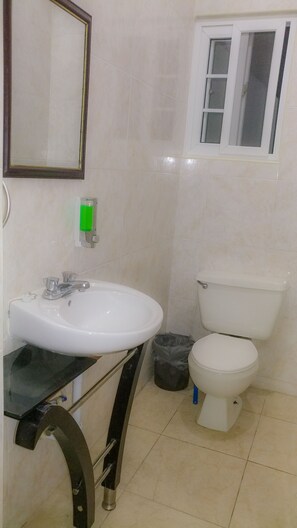 Towels, soap, shampoo, toilet paper
