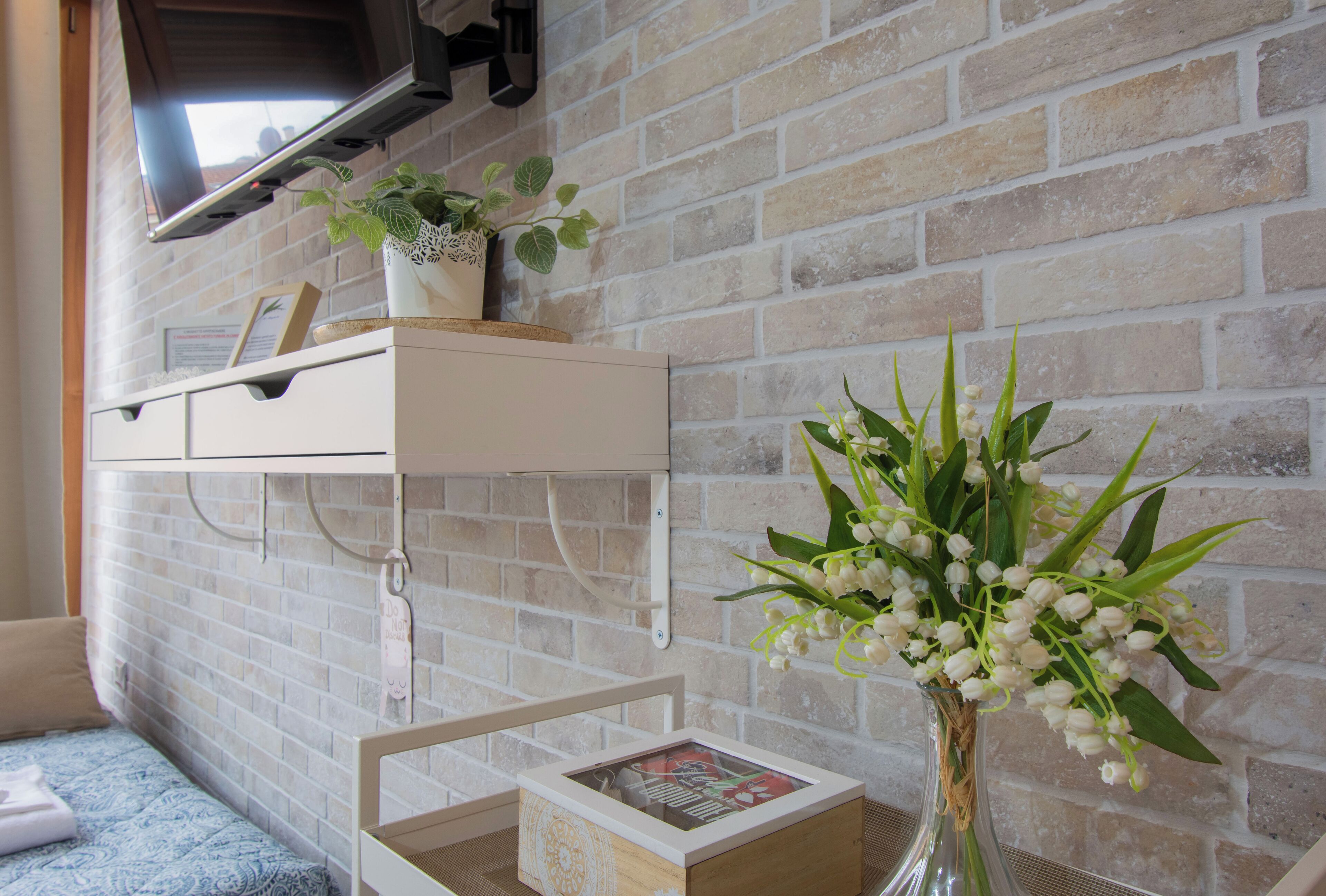 Family Studio | Television