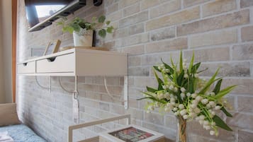 Family Studio | Television