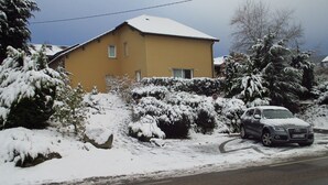 A yellow house with a snow-covered roof and driveway, surrounded by snow-laden bushes and trees.
