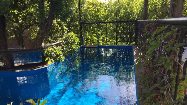 Una piscina rectangular con borde azul, rodeada de exuberante follaje y árboles.