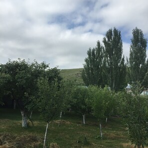 Exterior - Apple Tree Family House (Dzorakap)