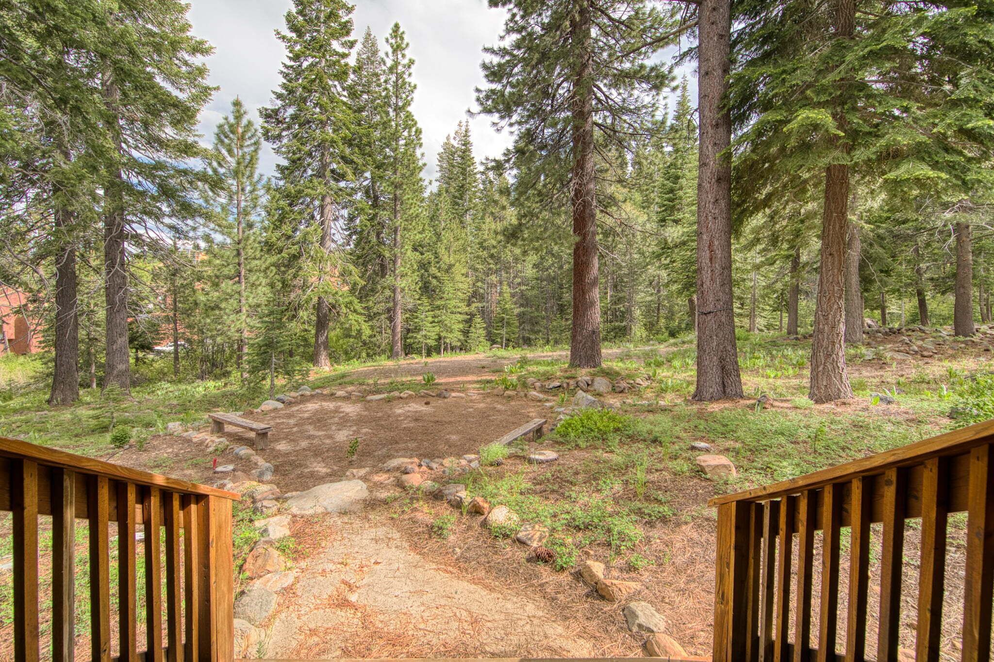 A forested area with a dirt path leading to a wooden deck.