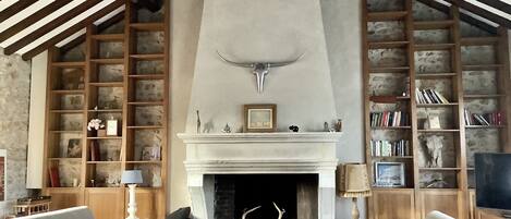 Televisión, chimenea, reproductor de DVD y libros