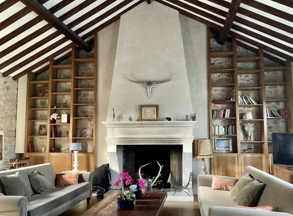 Televisio, takka, DVD-soitin, kirjoja