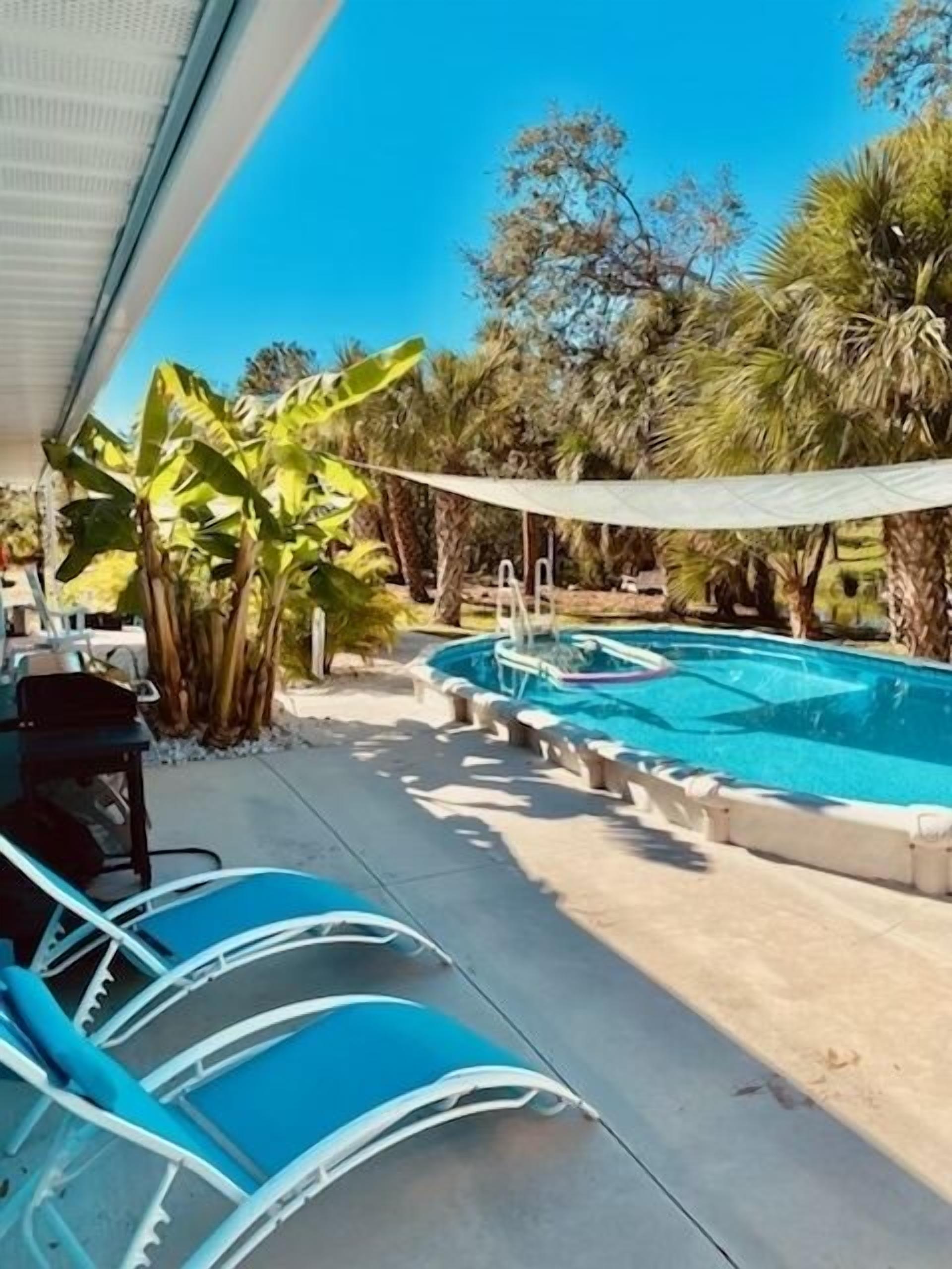 A pool area with lounge chairs, a shaded area, and tropical vegetation.