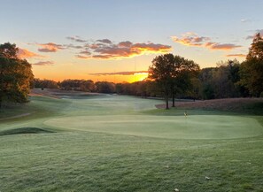 Golf - Space everyone can enjoy, 4 miles to downtown Grand Rapids! (Grand Rapids)