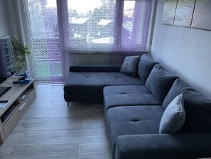 Smart-TV, DVD-Player, Tischtennisplatte, Bücher