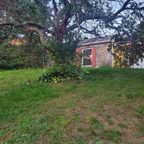 Winter special 220$/night, charming Cottage , fits 5 per, 20 min to ski resorts.