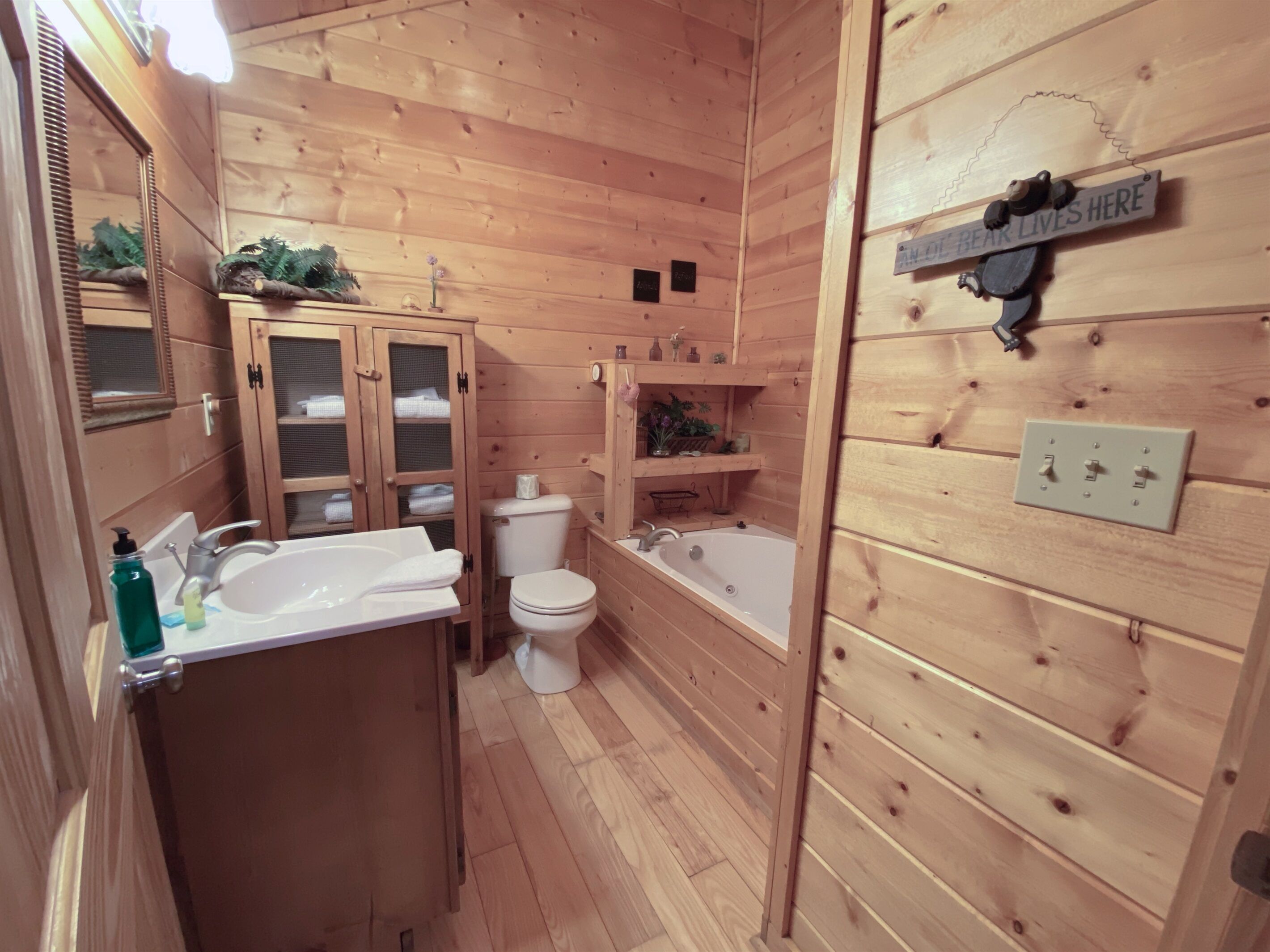 Combined shower/tub, jetted tub, hair dryer, towels