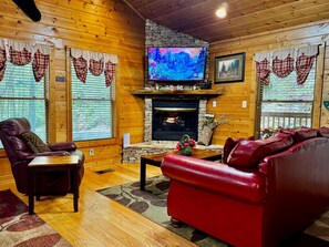 TV, fireplace, books