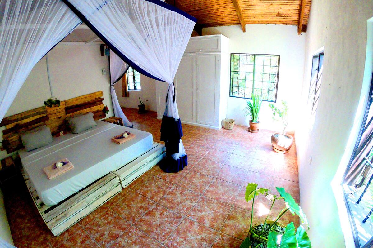 Una habitación con una cama bajo un dosel, una ventana con barrotes y plantas en macetas.