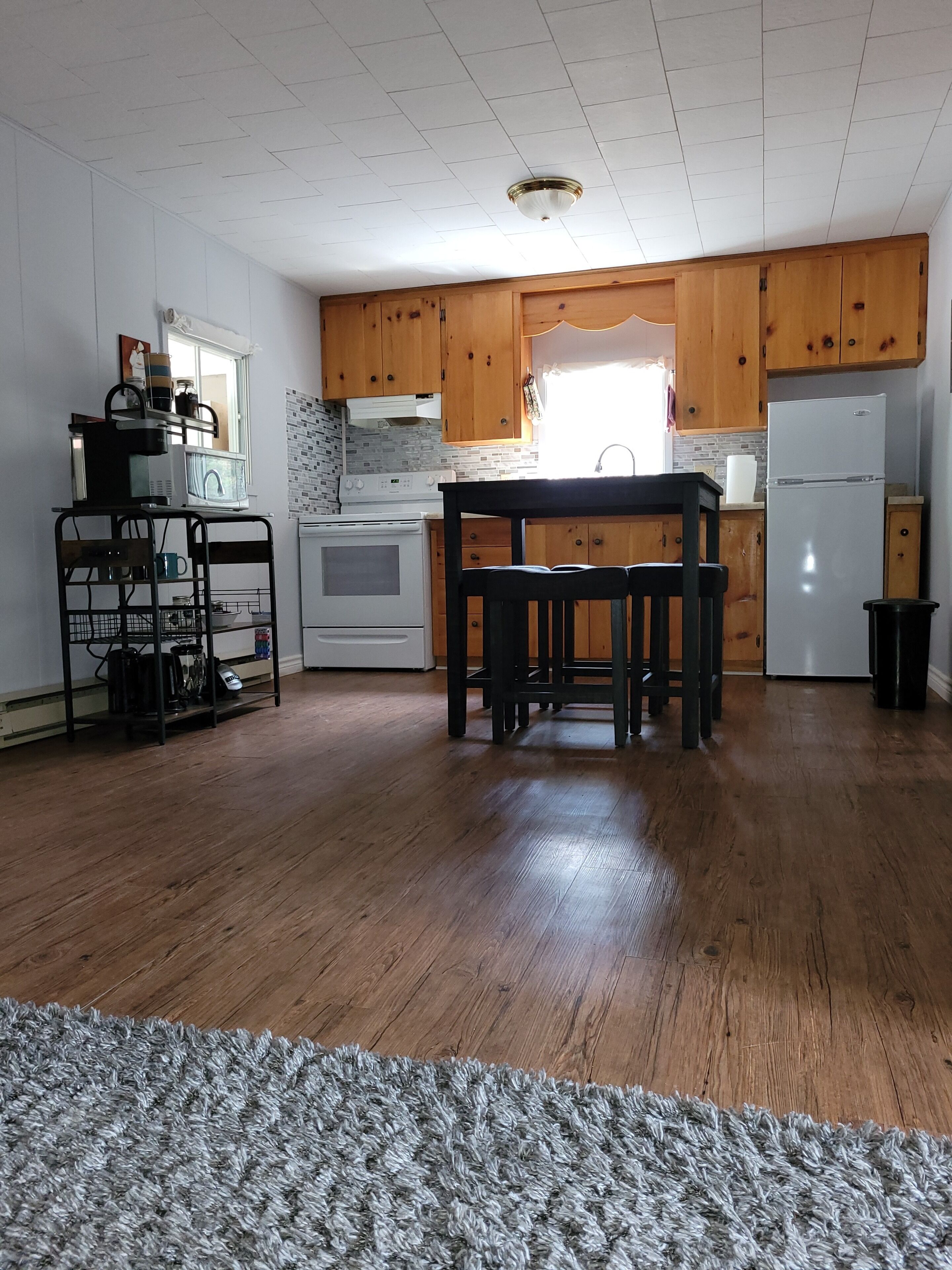 🏚 Cabin on Manitoulin Island 